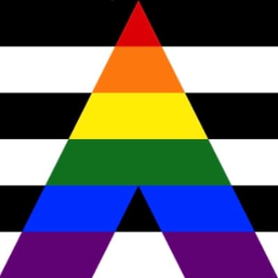 Straight ally flag.